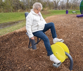 Recumbent Bike