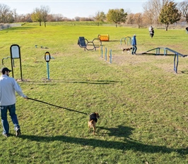Play4Pups