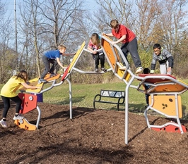 Formis Climbers