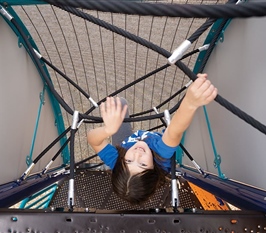 Evolution Arch Climber