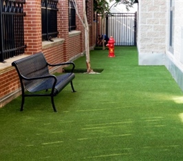 Synthetic Turf Surfacing